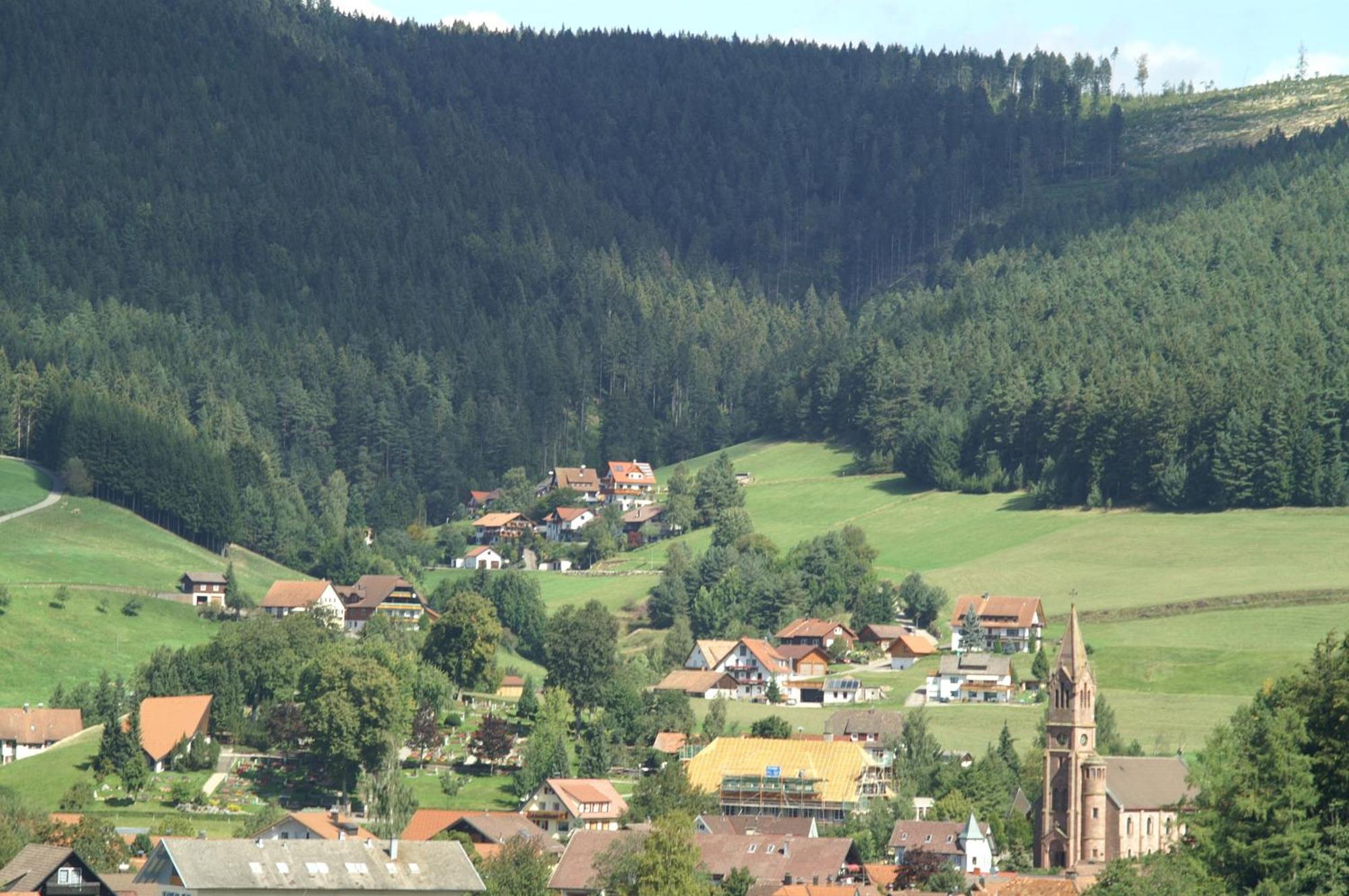 Hotel Lamm Baiersbronn Mitteltal Dış mekan fotoğraf